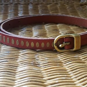 Fossil belt